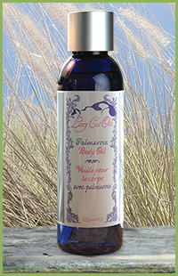 photo of bodycare product