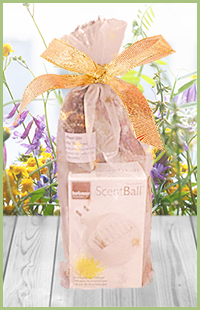 photo of diffusergift pack