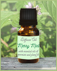 photo of diffuser oil