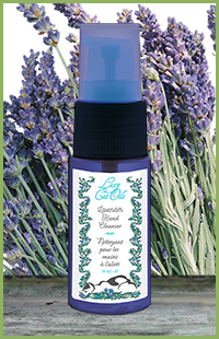 photo of an Hand Cleanser