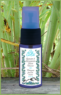 photo of an Hand Cleanser