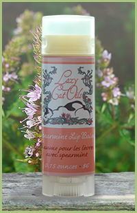 photo of lips product